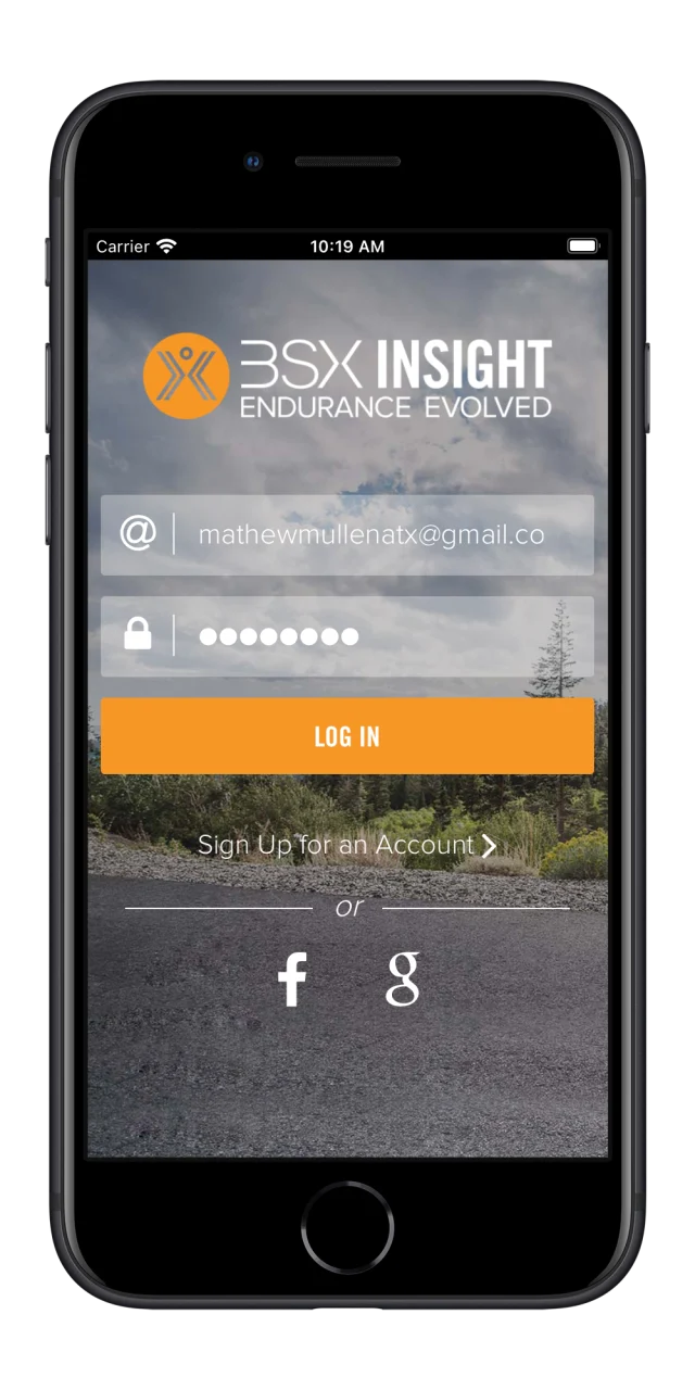 BSX Insight login screen with brand identity